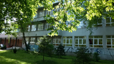 Slika